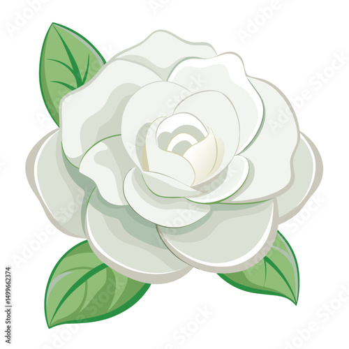 A white gardenia with rounded smooth petals and softness
