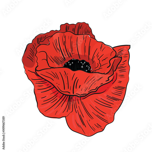 Abstract red flower vector illustration.Memorial day symbol. Poppy drawing isolated on white background line art color image,botanical design element for print and other use