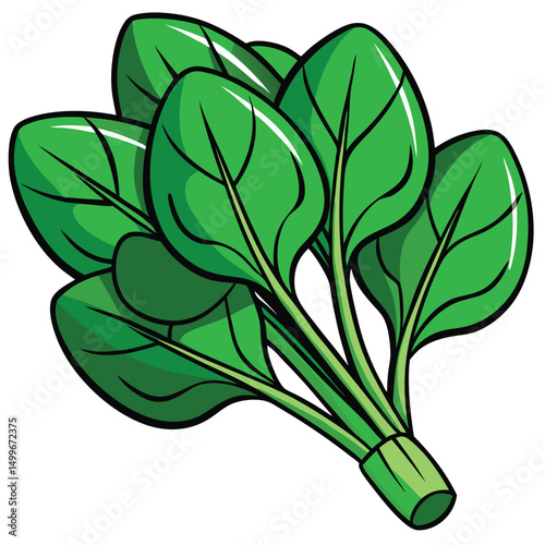 a bunch of spinach leaves with clearly visible veins
