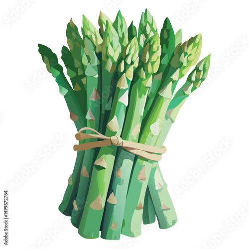 a bundle of asparagus spears with soft green tint