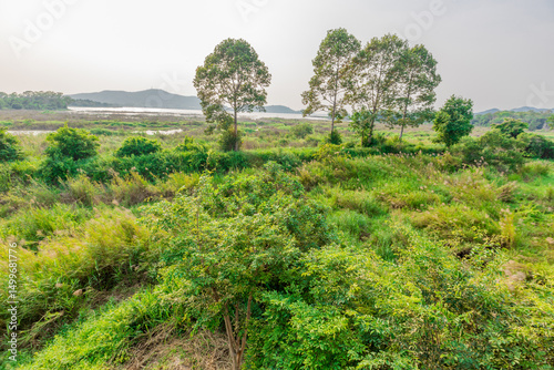 natural background of many species of plants that are laid out in the park, for the propagation of the species and to provide shade for those who stop by while traveling to study the ecology. photo