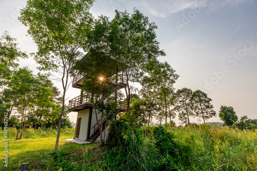 natural background of many species of plants that are laid out in the park, for the propagation of the species and to provide shade for those who stop by while traveling to study the ecology. photo