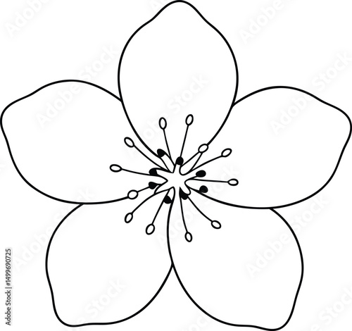 Line art of a blossom with five petals displays intricate floral details