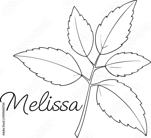 Line art showcases Melissa's name beside an intricate branch adorned with detailed leaves