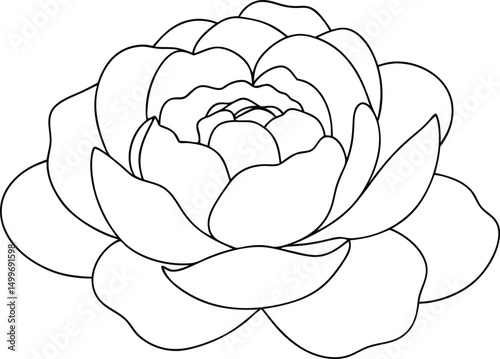 Outlined camellia flower showing detailed petal structure