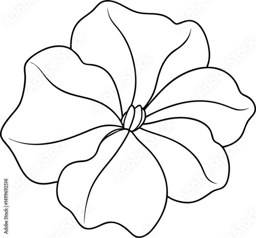 Outlined petals showcase a simplified beauty of a blossoming flower