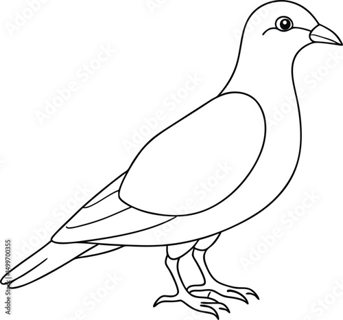 Monochrome outline pigeon stands calmly showcasing its distinct features