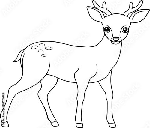 Outlined cartoon fawn stands attentively with its lovely, distinct spots