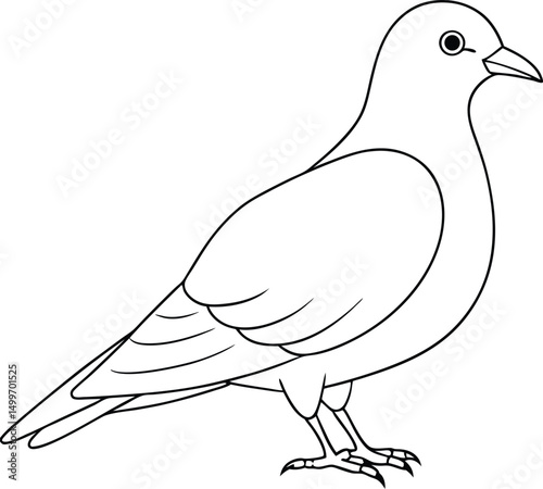 Outlined pigeon stands in profile view with clear face