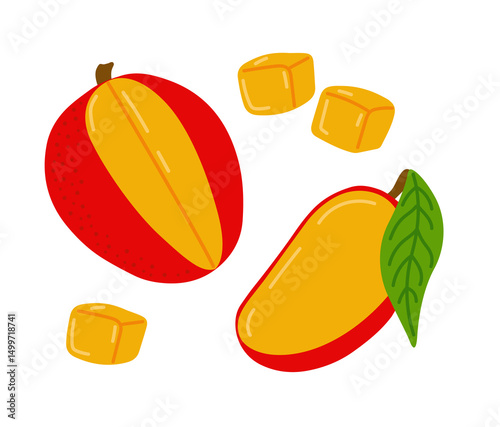 Mango fresh tropical exotic fruit. Sliced, cut, peeled fruit. Vector hand-drawn illustration, isolated on white background.