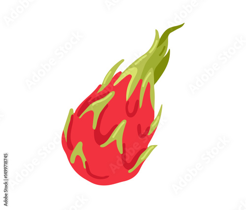 Pitahaya, pitaya dragon fruit. Tropical exotic dragonfruit. Vector hand-drawn illustration, isolated on white background.