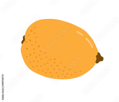 Loquat tropical exotic fruit. Japanese medlar, chinese plum. Vector hand-drawn illustration, isolated on white background.