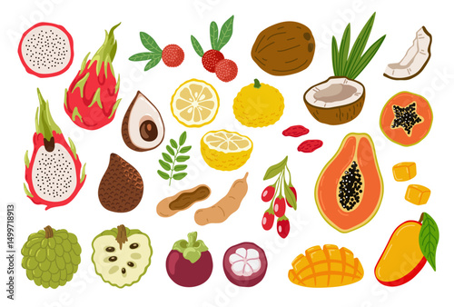 Tropical exotic fruits set. Hand drawn colorful doodle collection. Sketch style. Pitahaya, mango, papaya, coconut, yuzu. Vector illustration, isolated on white background.
