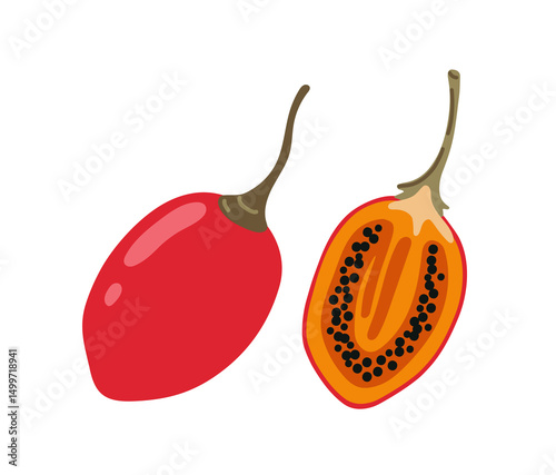 Tamarillo egg-shaped tropical exotic fruit. Tree tomato. Whole, half and piece. Vector hand-drawn illustration, isolated on white background.