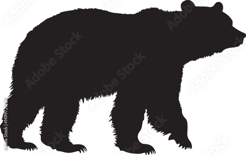 Bear Silhouette Vector Illustration on Transparent Background