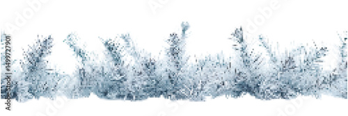Frosted evergreen branches creating a wintery border on a white background for seasonal or holiday decorations