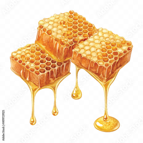 realistic glossy honeycomb, honey cell slices  dripping with fresh liquid honey isolated on transparent background.