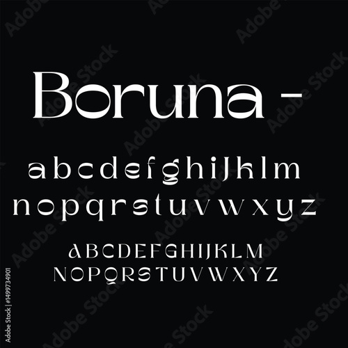 Elegant Serif Font Typeface Display with Lowercase and Uppercase Alphabets