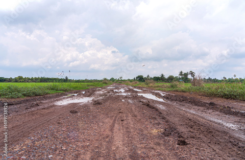 Puddles muddy from car wheels. obstacles on rural dirt road rainy season. view of rice fields on both sides sky and white clouds after rain in countryside Nakhon Pathom Thailand.