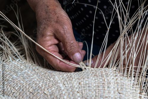 The artisanal process of hand-weaving toquilla straw hats in Sandoná Nariño, Colombia.  photo