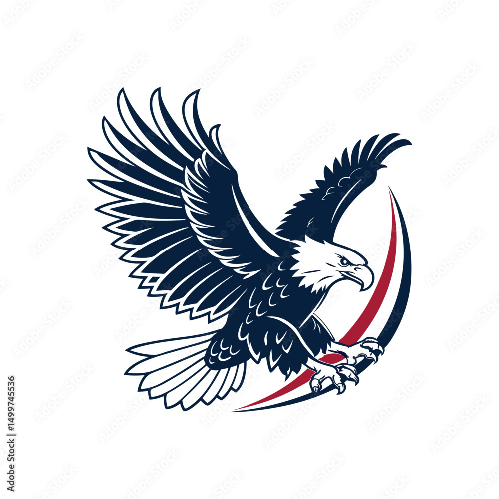 Obraz premium eagle with wings