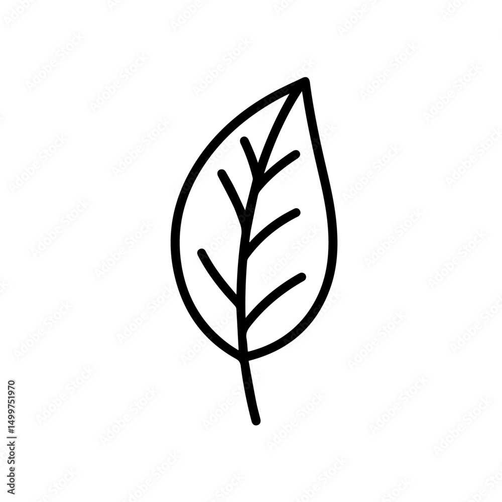 Simple leaf line drawing. Botanical illustration shows single leaf with detailed veins and stem. Elegant leaf image perfect for school projects, educational materials, or nature themed designs. Simple leaf line drawing. Botanical illustration shows single leaf with detailed veins and stem. Elegant leaf image perfect for school projects, educational materials, or nature themed designs.