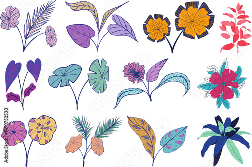 Nebula Cordata photos png vector set