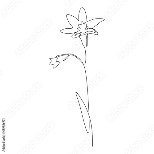 Stylized daffodil line art with curved petals and elongated leaf. A modern floral sketch for natural wall art or elegant prints.