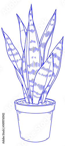 Line drawing of a potted snake plant with long patterned leaves. Vector Illustration