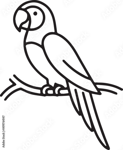parrot on a branch