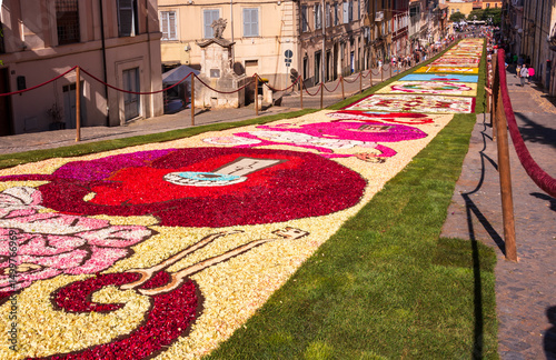 Obraz na plátně Flower petals carpet, decoration of multicolored cut flowers