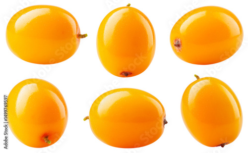 Buckthorn isolated png. Sea buckthorn on white or transparent background.. Seabuckthorn berries collection no background. Top view. Full depth of field.