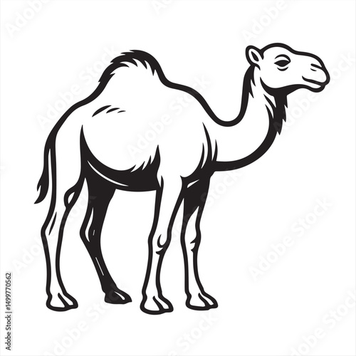 camel cartoon illustration