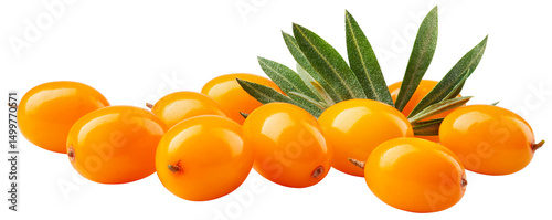 Konstfotografi Buckthorn isolated png