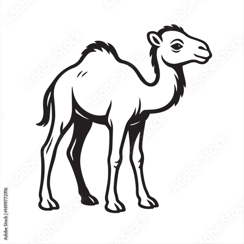 camel vector illustration