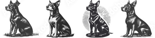 Detailed Black and White Engraving of Four Dog Illustrations