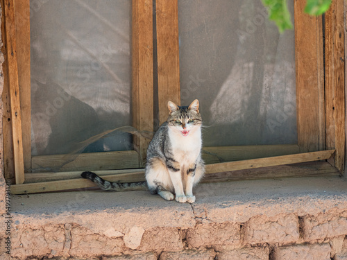 Wall Mural OLYMPUS DIGITAL CAMERA