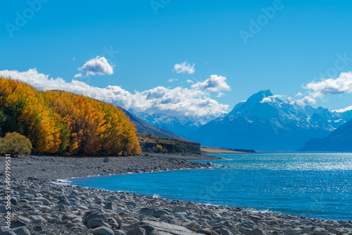 Aoraki Mount Cook National Park autumn landscape with golden trees, turquoise Lake Pukaki and snow-capped Southern Alps, Canterbury, New Zealand