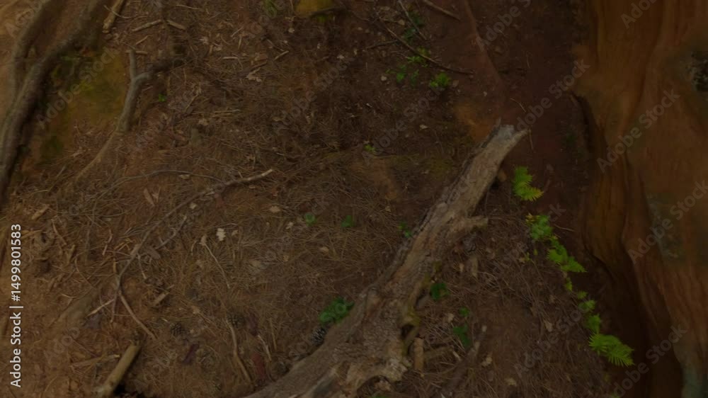 Aerial view of a ravine with striking red earth and unique geological formations. Ideal for nature, travel, and earth science-themed projects.
Aerial view of a ravine with striking red earth and unique geological formations. Ideal for nature, travel, and earth science-themed projects.