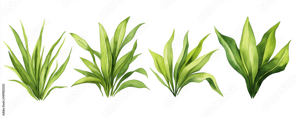 Fototapeta premium Set of illustrated green leafy plants with various shapes and shades of foliage, arranged in a row on a white background