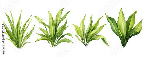 Set of illustrated green leafy plants with various shapes and shades of foliage, arranged in a row on a white background