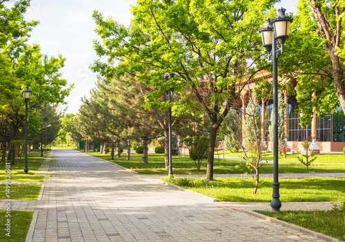 Parks of Tashkent. Spring landscape of a public park. Uzbekistan.
