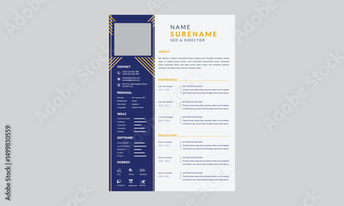 Corporate and professional resume curriculum template design