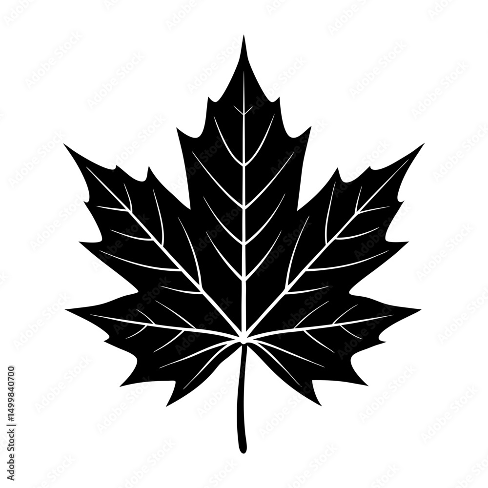 Fototapeta premium Maple Leaf Silhouette vector illustration