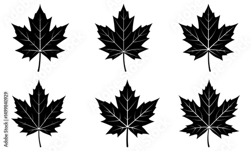 Maple Leaf Silhouette vector illustration