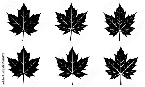 Maple Leaf Silhouette vector illustration