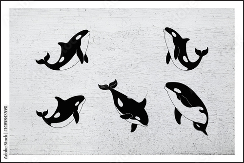 Cartoon Orca Collection",
Playful Killer Whales in Motion
Orca Expressions and Poses
Stylized Orcas: A Marine Showcase