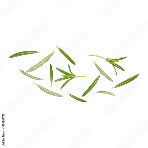 Fresh rosemary leaves floating in the air on transparent PNG background