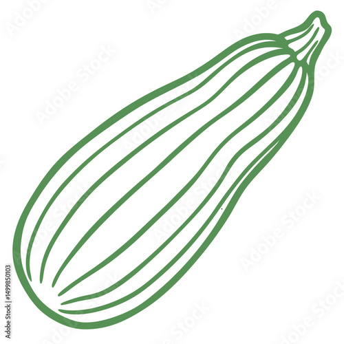Outline of a zucchini squash in green color on a white background  