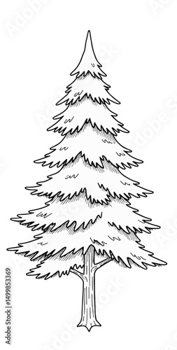 Trees_Axonometric view 